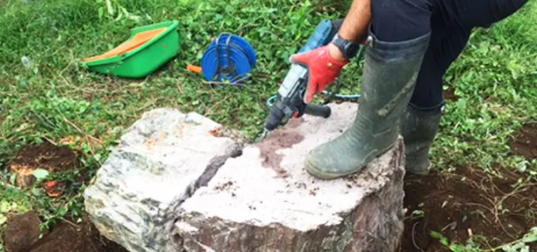 庭石撤去サービス